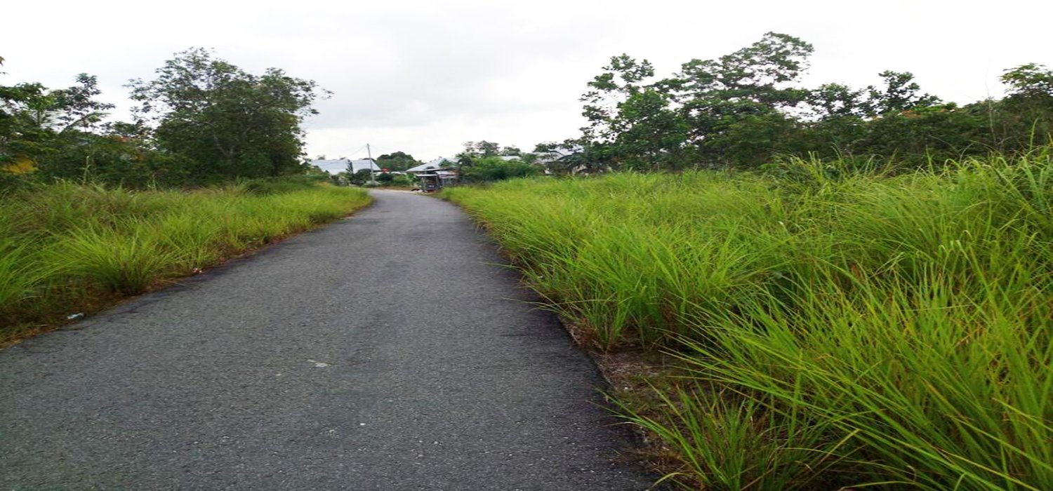 TANAH RESIDENSIAL STRATEGIS  MAIN ROAD SEHAN UMAR BELITUNG - 8