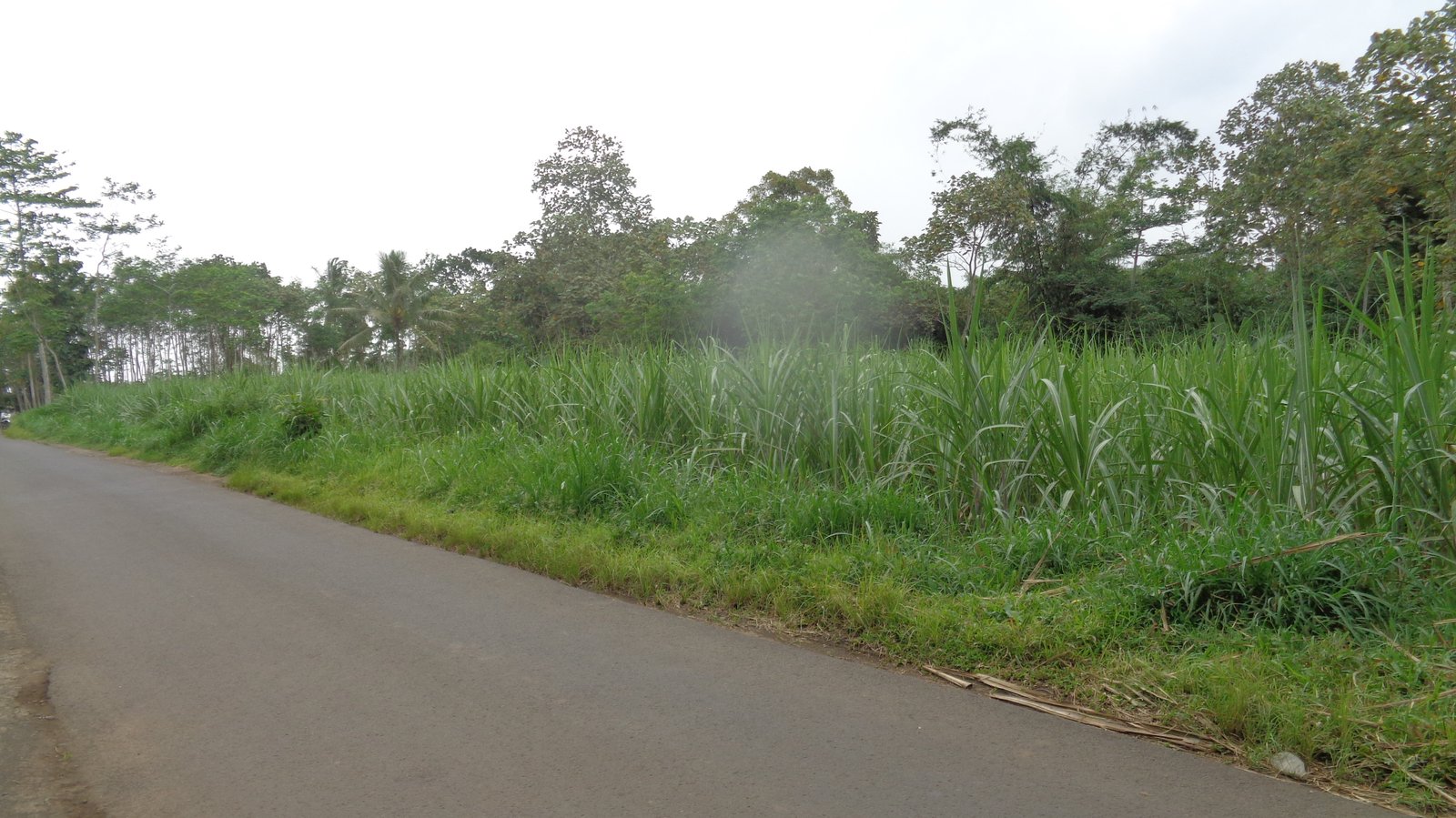 Tanah murah pinggir jalan utama jabung malang - 15