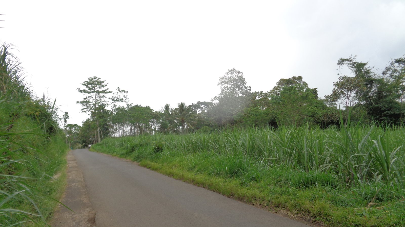 Tanah murah pinggir jalan utama jabung malang - 7