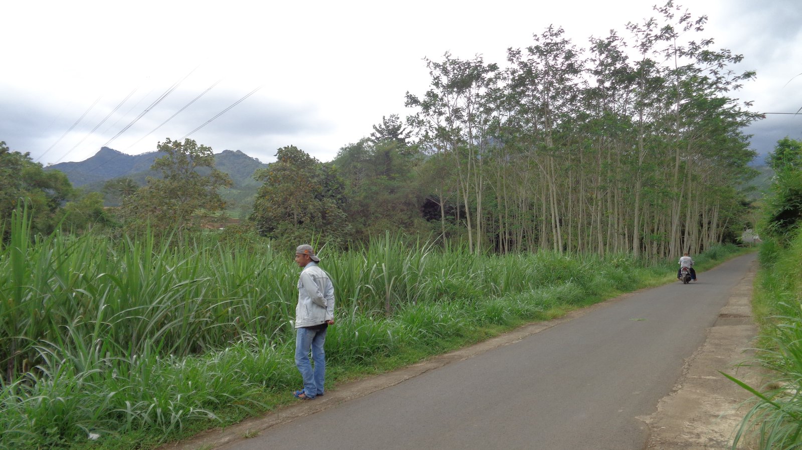 Tanah murah pinggir jalan utama jabung malang - 17