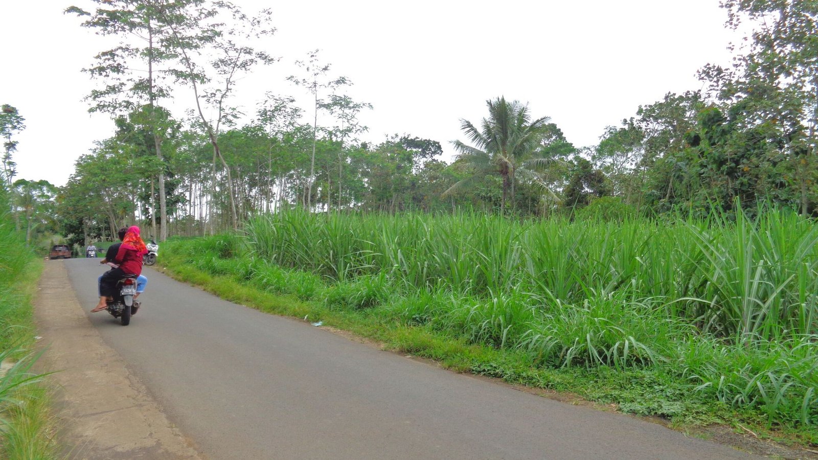 Tanah murah pinggir jalan utama jabung malang - 11