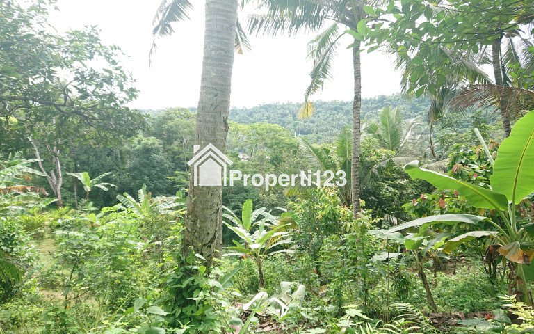 Tanah Dijual Dengan Pemandangan Kota di Atas Bukit Cocok Dijadikan Vila dan Bercocok Tanam - 2