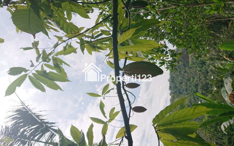 Tanah Dijual Dengan Pemandangan Kota di Atas Bukit Cocok Dijadikan Vila dan Bercocok Tanam - 6