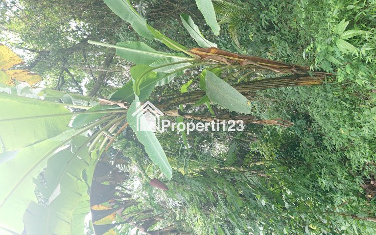 Tanah Dijual Dengan Pemandangan Kota di Atas Bukit Cocok Dijadikan Vila dan Bercocok Tanam - 7