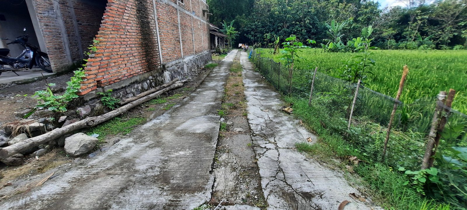 Tanah Strategis Ketitang/Nogosari/Kaliyoso - 7