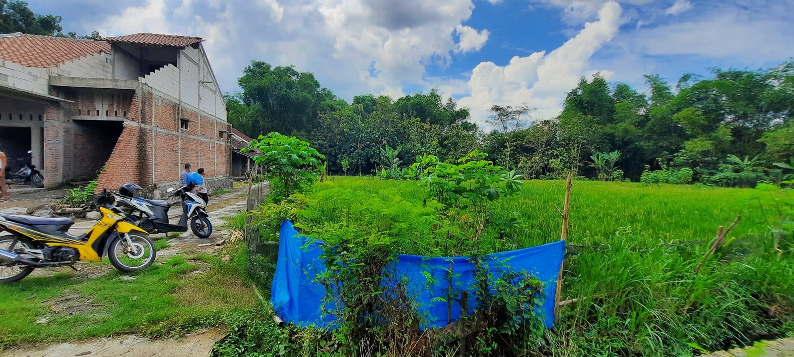 Tanah Strategis Ketitang/Nogosari/Kaliyoso - 9