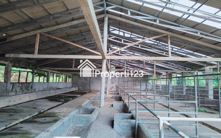 Di jual cepat kandang sapi luas 544 m - 1