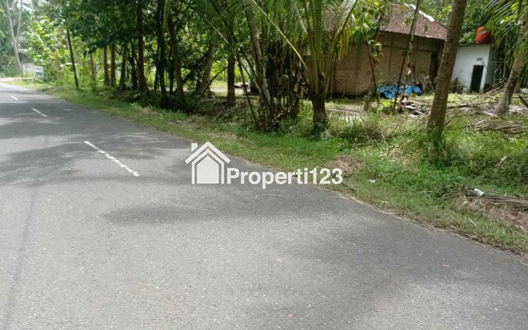 Rumah Murah 100 Juta di Krembangan Panjatan Kulon Progo Jogja - 2