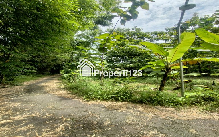 Jual cepat tanah 7 menit dari pelabuhan kamal - 2