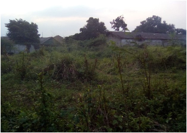 Tanah Dijual di Depok, Pancoran Mas - 2