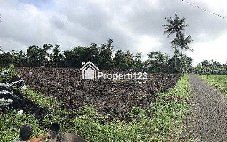 Dijual Tanah 6300m2 Tanah Kering Kec. Genteng Kabupaten Banyuwangi - 4