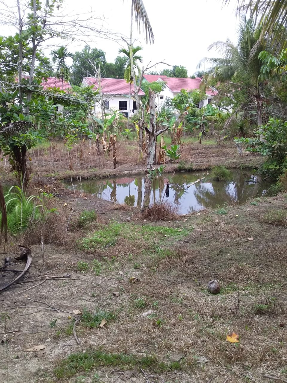 JUAL TANAH PEKARANGAN BELAKANG PERUMAHAN GURU CENDANA, RUMBAI,, PEKANBARU - 19