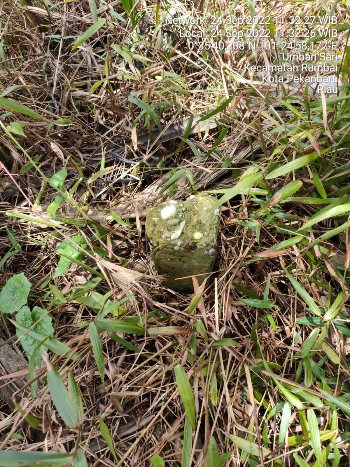 JUAL TANAH PEKARANGAN BELAKANG PERUMAHAN GURU CENDANA, RUMBAI,, PEKANBARU - 25