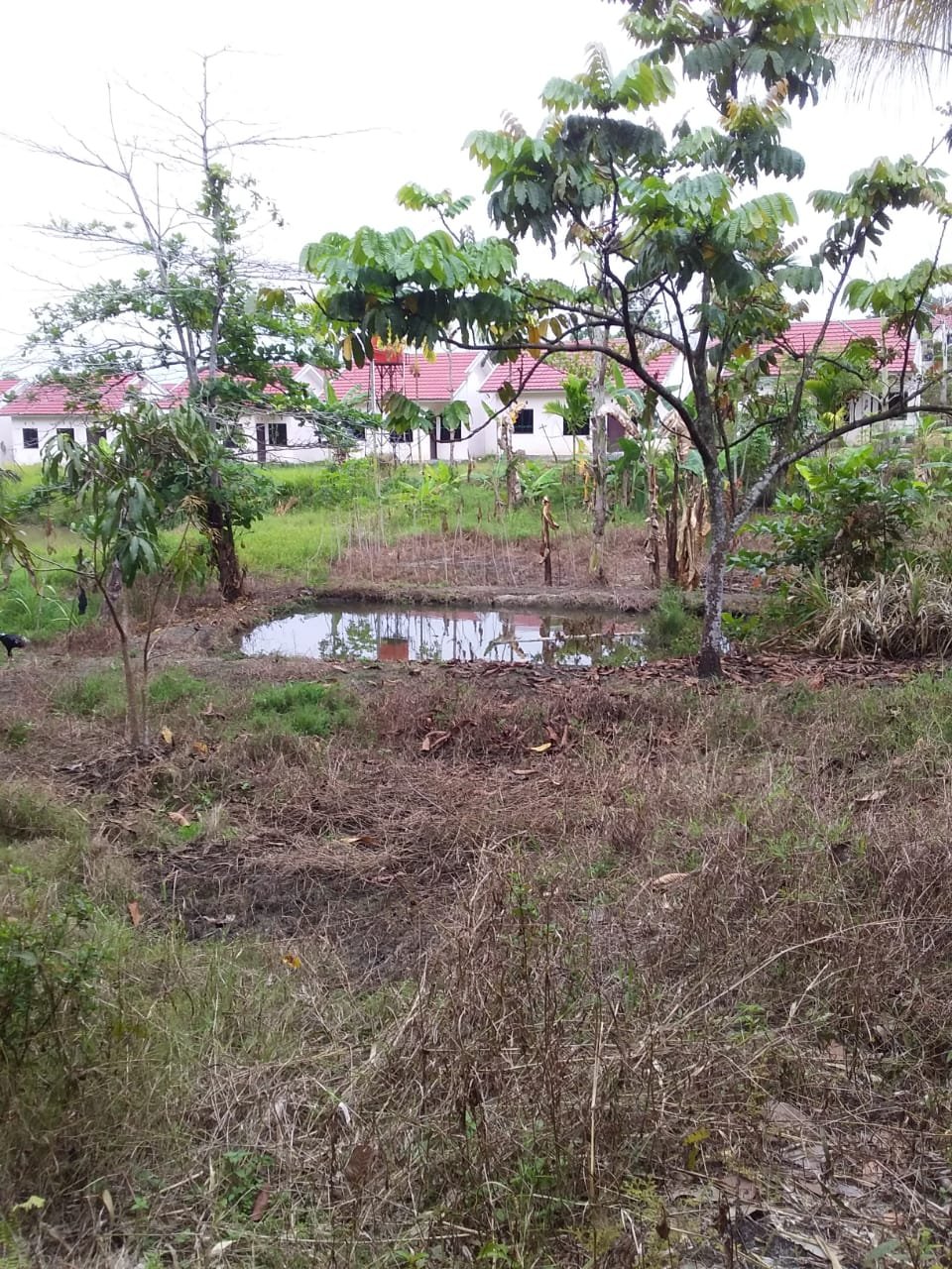 JUAL TANAH PEKARANGAN BELAKANG PERUMAHAN GURU CENDANA, RUMBAI,, PEKANBARU - 17