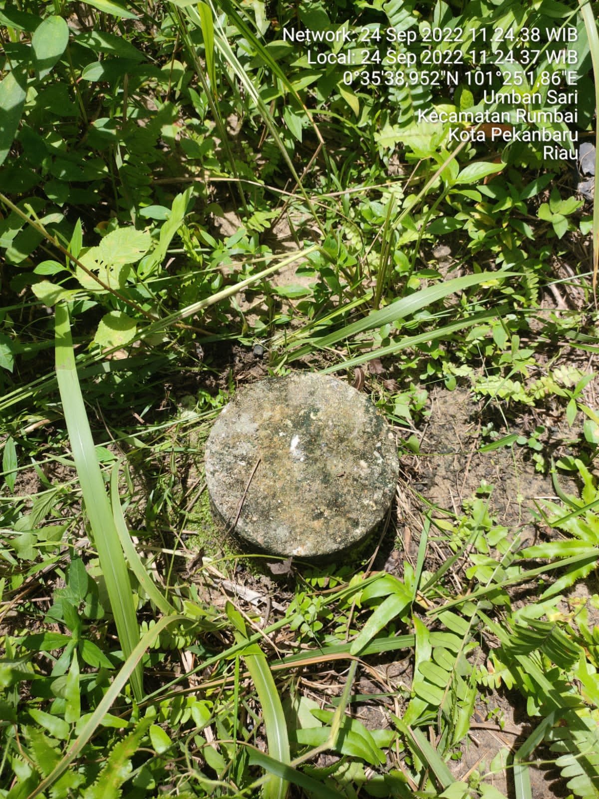 JUAL TANAH PEKARANGAN BELAKANG PERUMAHAN GURU CENDANA, RUMBAI,, PEKANBARU - 27