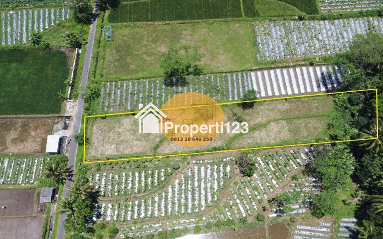 Jual Tanah Turi Dekat Kota View Gunung Jalan Aspal - 3