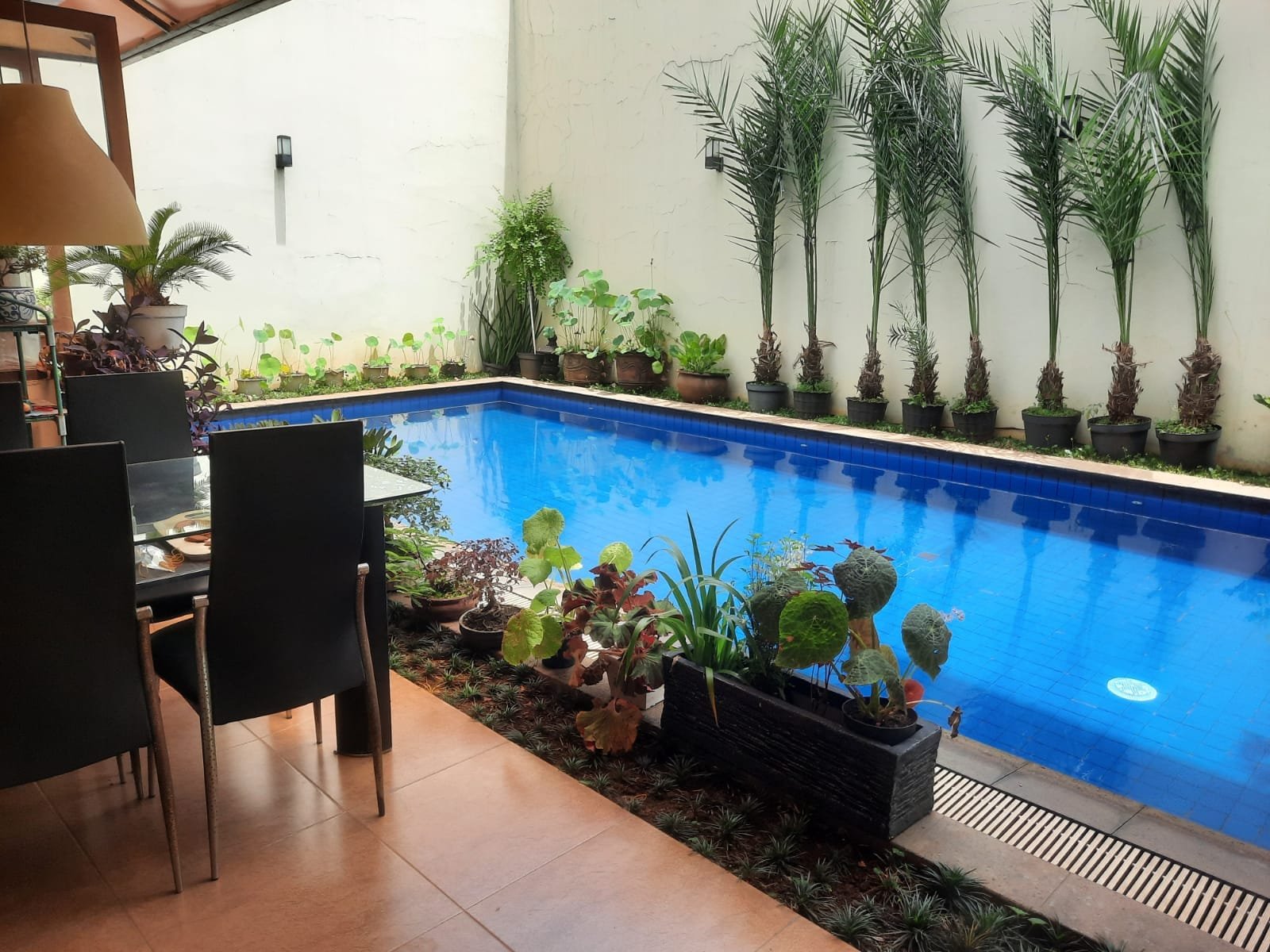 RUMAH MEWAH DIJUAL CEPAT PINGGIR JALAN RAYA KEBAGUSAN JAKARTA SELATAN - 2