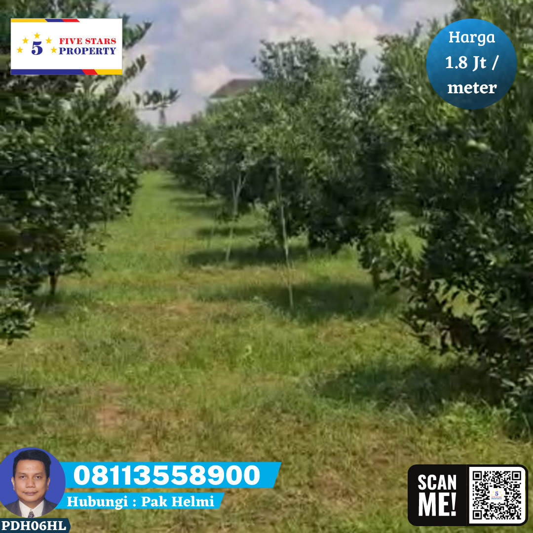 TANAH POHON JERUK DI KABUPATEN MALANG - 17