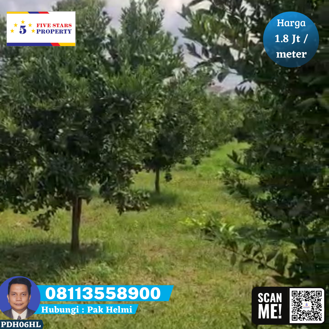 TANAH POHON JERUK DI KABUPATEN MALANG - 9