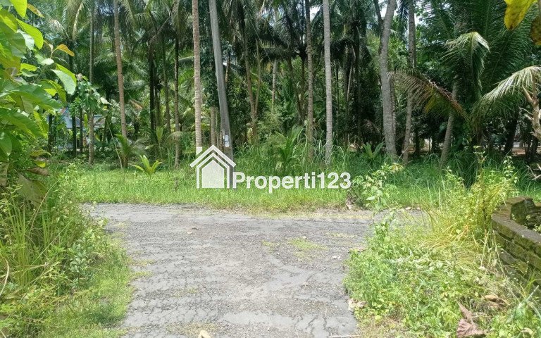 Dekat Bandara YIA, Rumah Minimalis Harga Ekonomis di Krembangan Panjatan Kulon Progo - 2