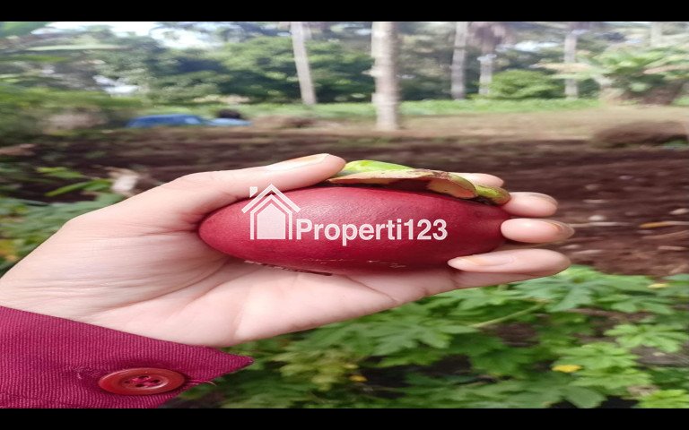 Dijual Tanah di Payakumbuh Sumbar - 6