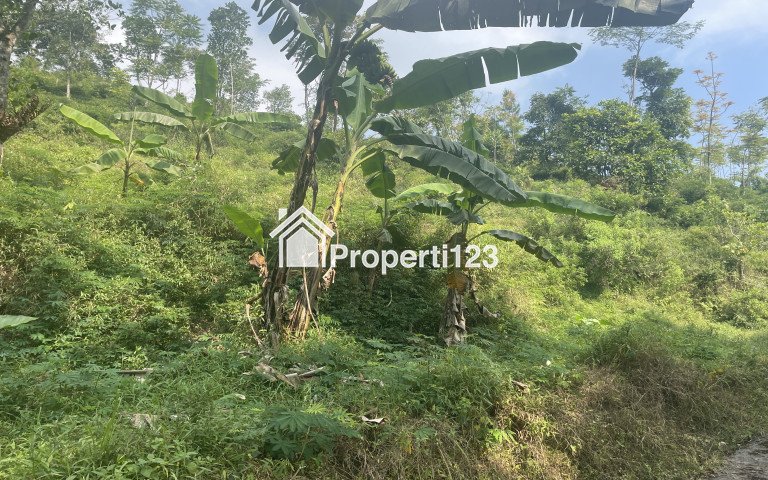 Dijual! Tanah di Pacet Mojokerto Dekat dengan Pemandian Air Panas - 2