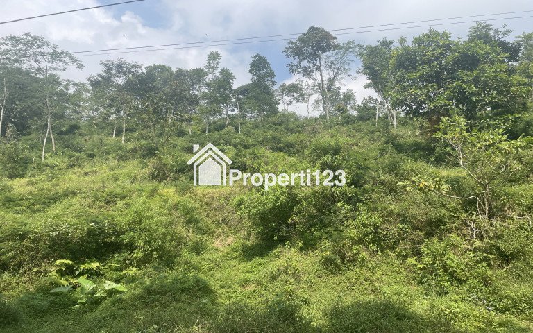 Dijual! Tanah di Pacet Mojokerto Dekat dengan Pemandian Air Panas - 4