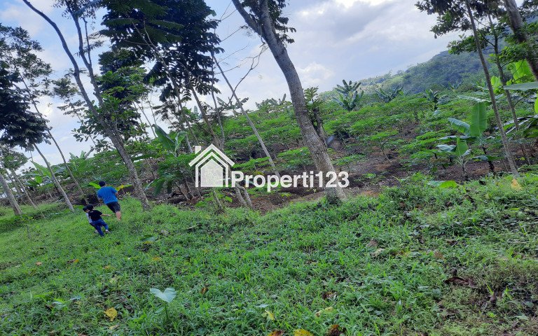 Jual Cepat Tanah BU - 1