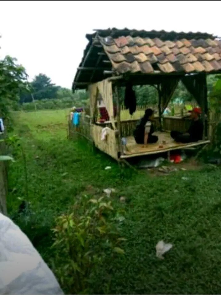 Jual Tanah daerah daru - 6