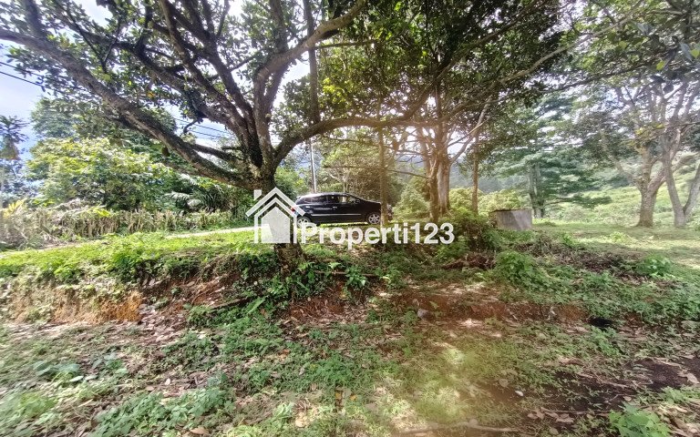tanah murah di cijeruk kaki gunung salak best view untuk villa - 3