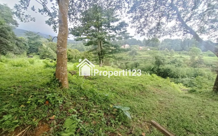 tanah murah di cijeruk kaki gunung salak best view untuk villa - 8