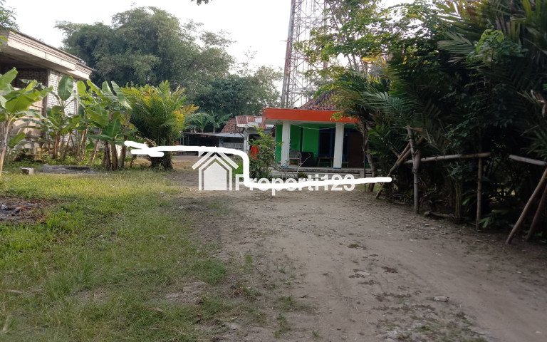 TANAH 1.389M2 BANGKALAN MADURA - 1