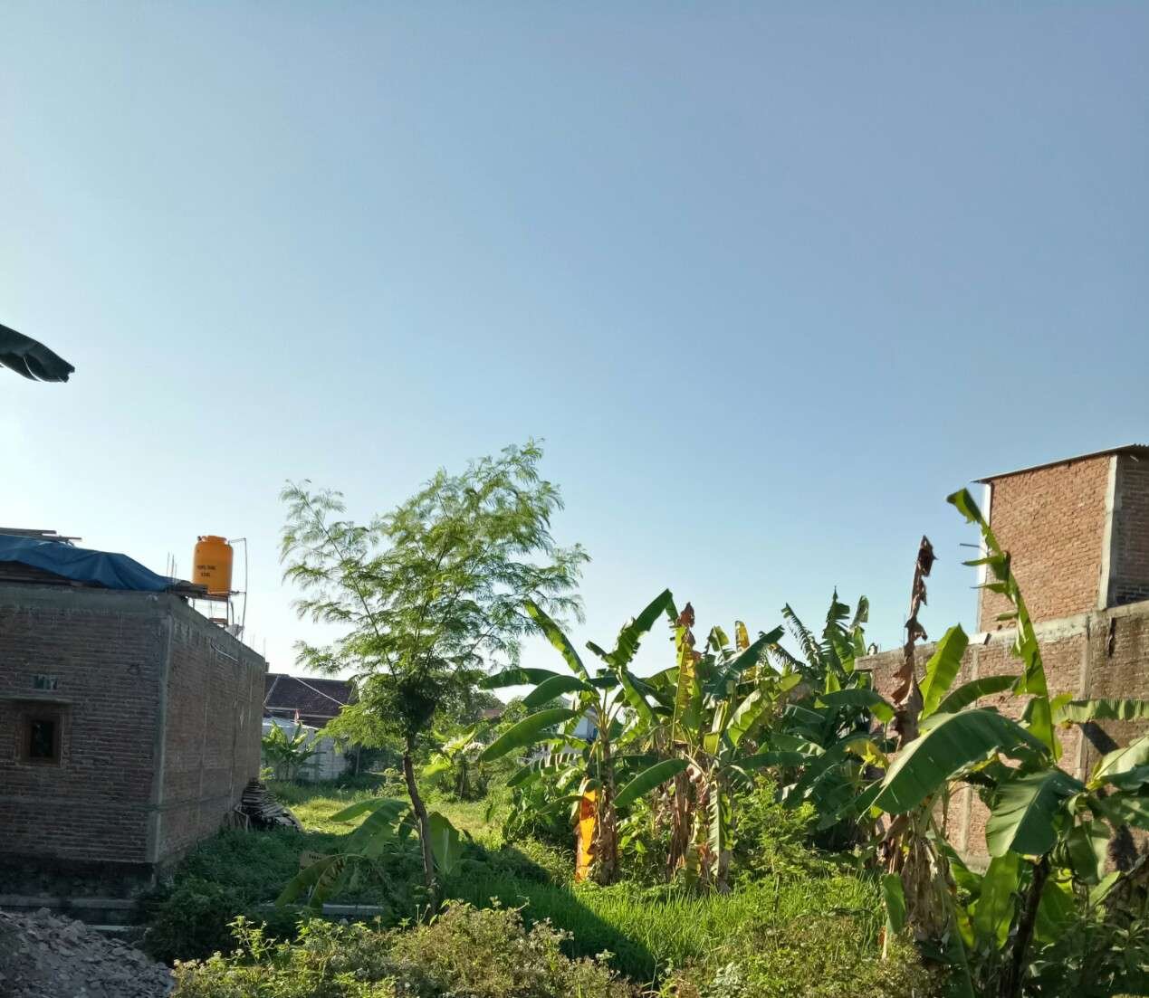 Dijual Tanah Kavling DI Kasri, Kecamatan Pandaan, Kabupaten pasuruan. - 2