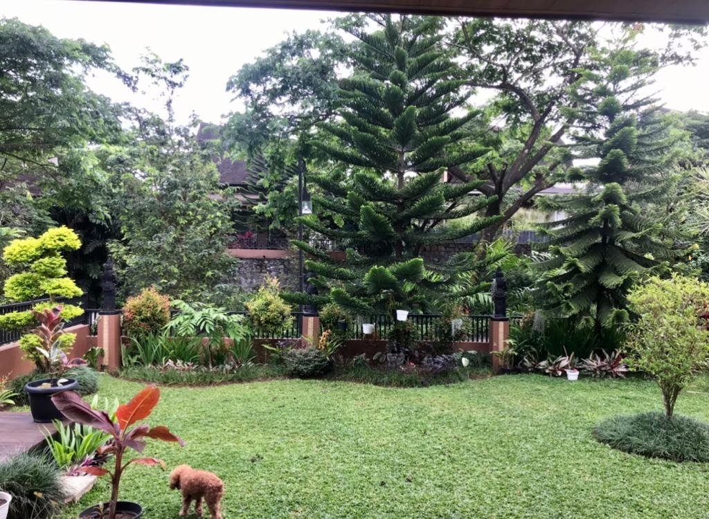 Villa mewah View Panorama Indah Gunung Pangrango & Salak di Puncak Bogor - 3