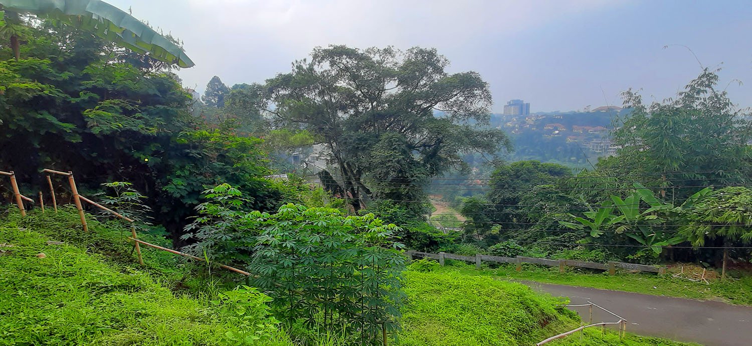 TANAH VIEW LEMBAH PAKAR KAWASAN DAGO BANDUNG - 14