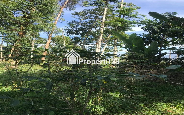 Di jual tanah seluas 55 tumbak ( 770m2 ) - 1