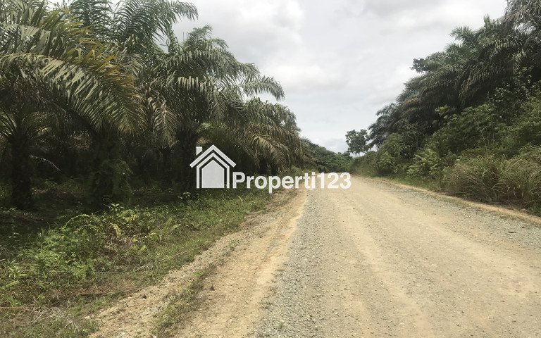 Dijual Tanah untuk hunian dan investasi - 4
