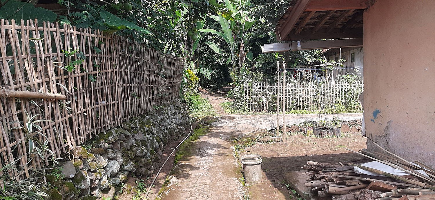 KEBUN  NENAS DI JALAN RAYA CAGAK SUBANG - 22