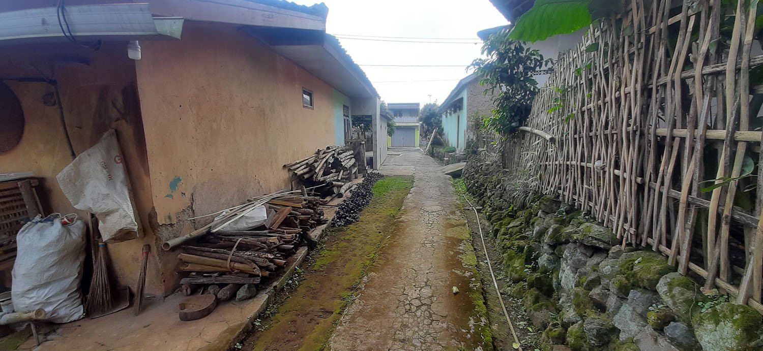 KEBUN  NENAS DI JALAN RAYA CAGAK SUBANG - 20