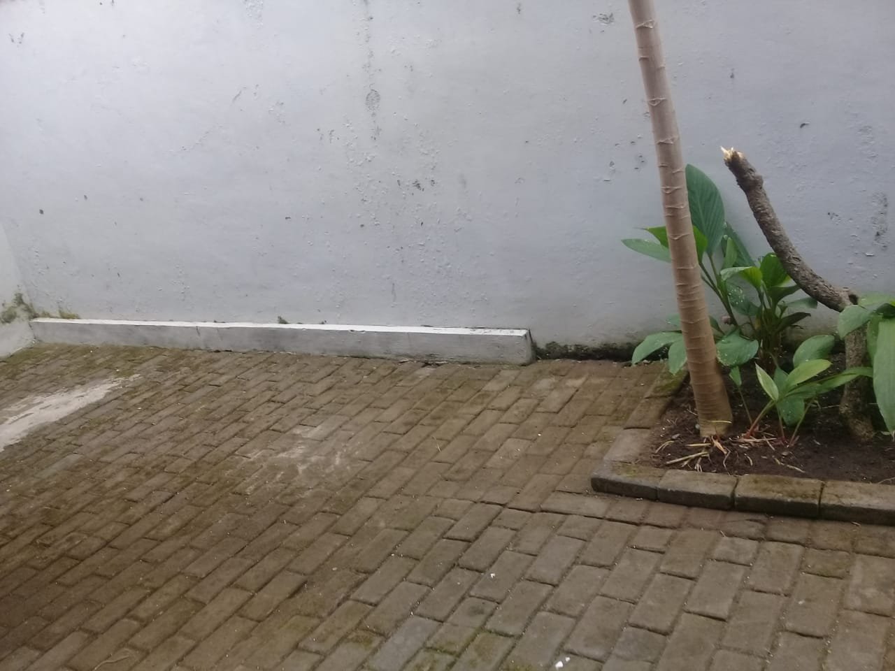 RUMAH CANTIK 1 LANTAI TUNGGULWULUNG - 9