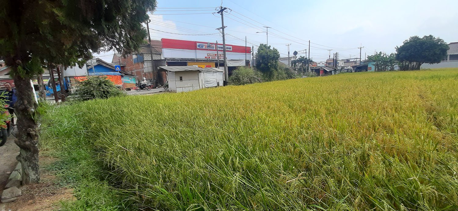 TANAH KOMERSIAL DI JALAN RAYA BATUJAJAR BANDUNG BARAT - 12