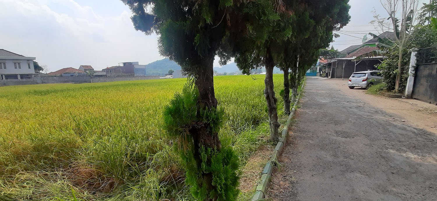 TANAH KOMERSIAL DI JALAN RAYA BATUJAJAR BANDUNG BARAT - 4
