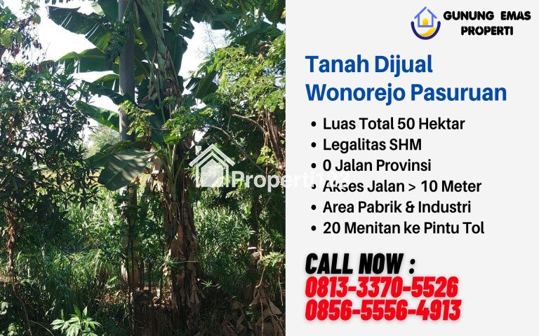 Tanah Dijual di Pasuruan Cocok Untuk Pabrik, CALL : 0813-3370-5526 - 3