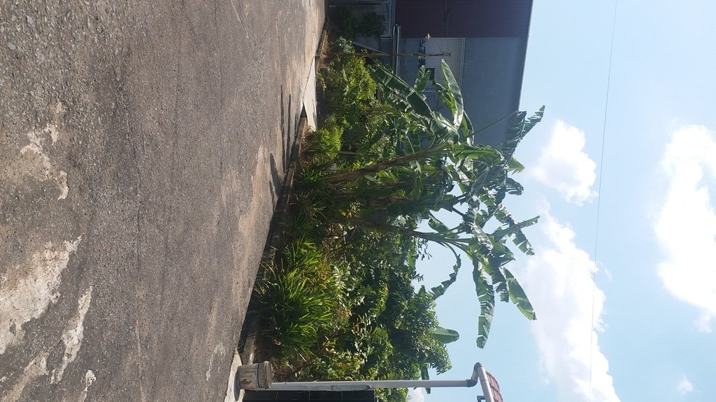 Tanah diJual Murah di Kota Pontianak - 11