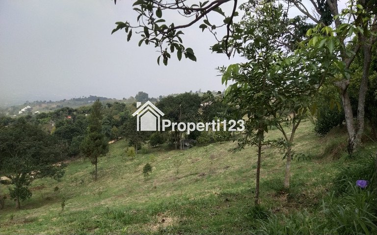 Tanah murah di Bogor best view gunung salak - 4