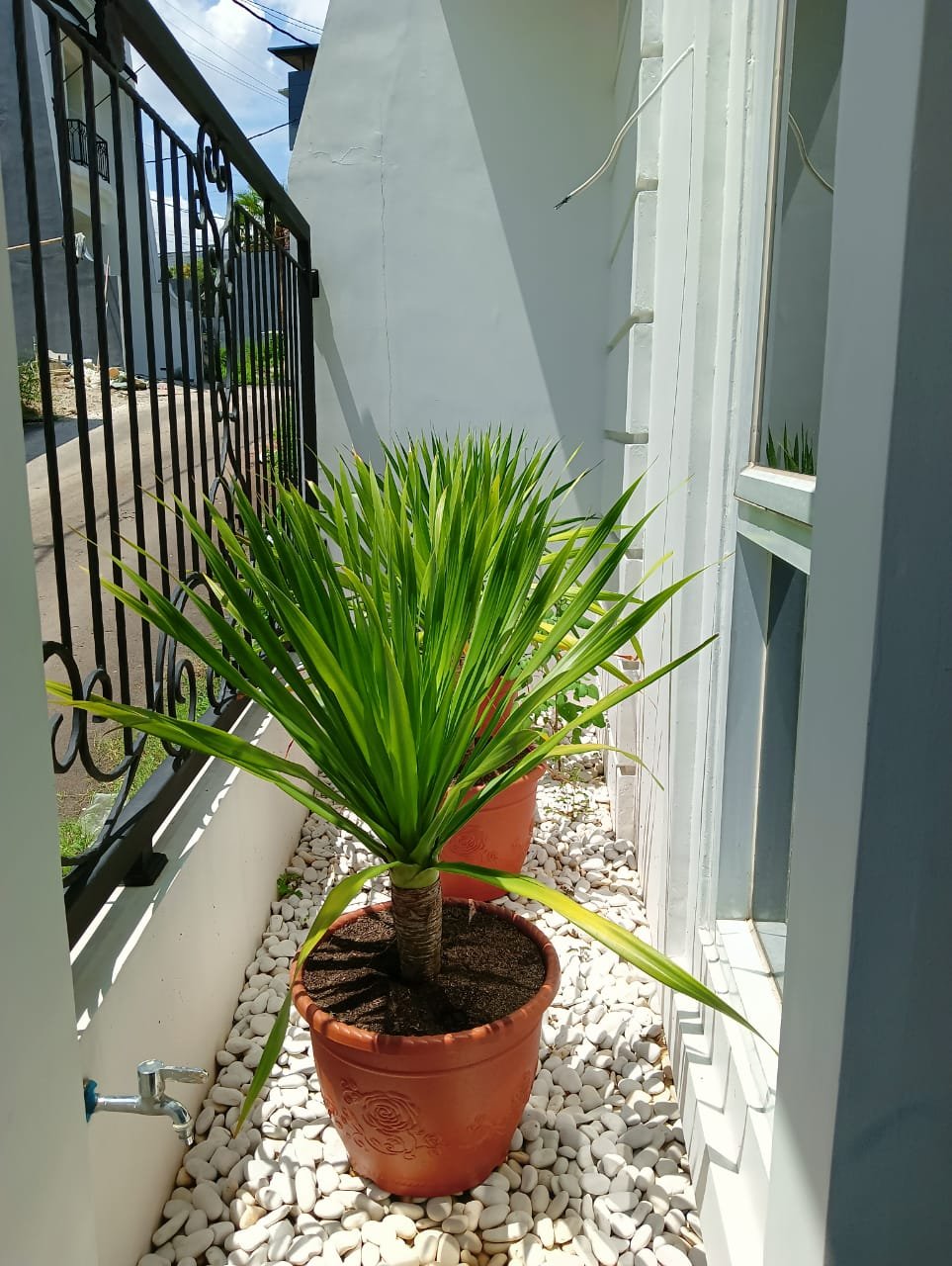 Dijual Rumah 2 Lantai Siap Huni Di Jagakarsa - 4