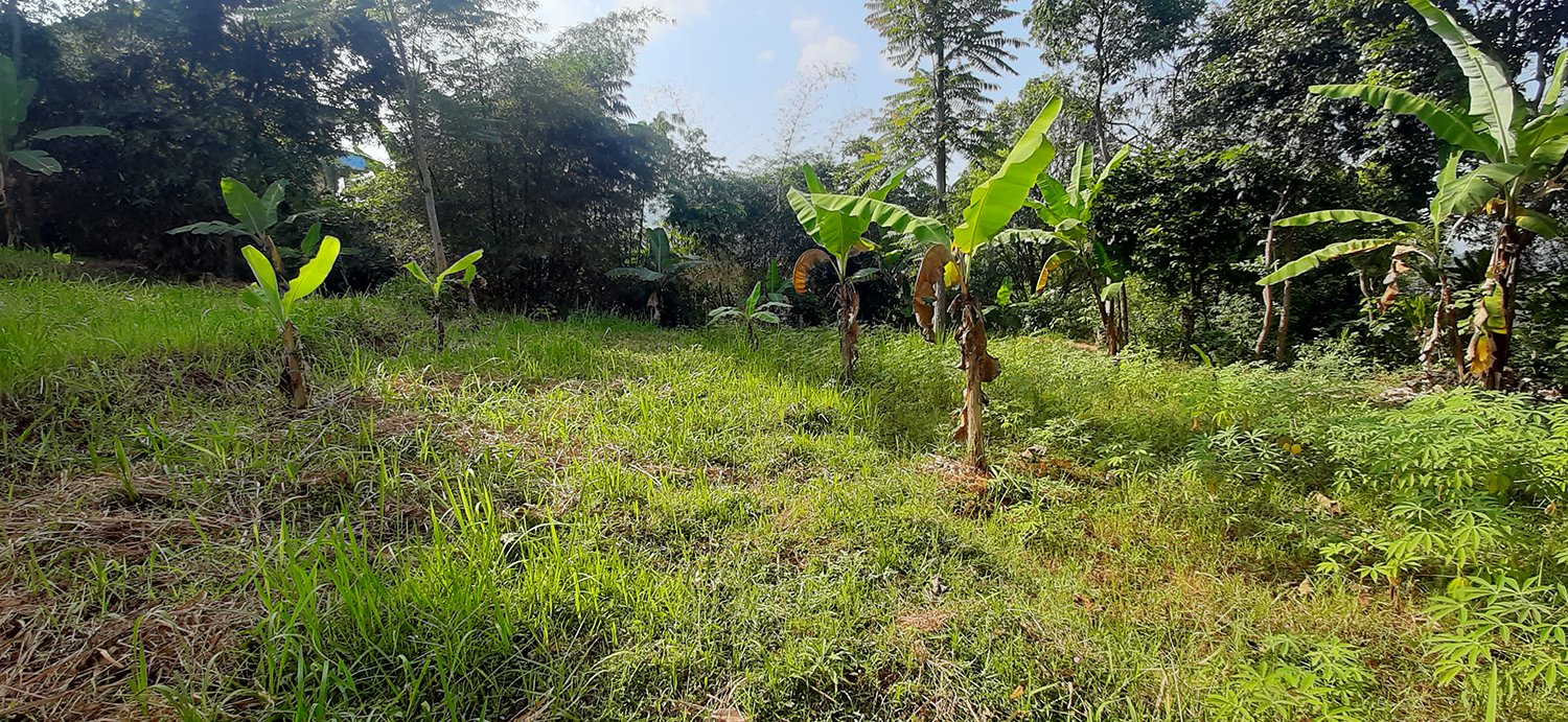 TANAH KOMERSIAL MAIN ROAD ARCAMANIK SINDANGLAYA BANDUNG - 22