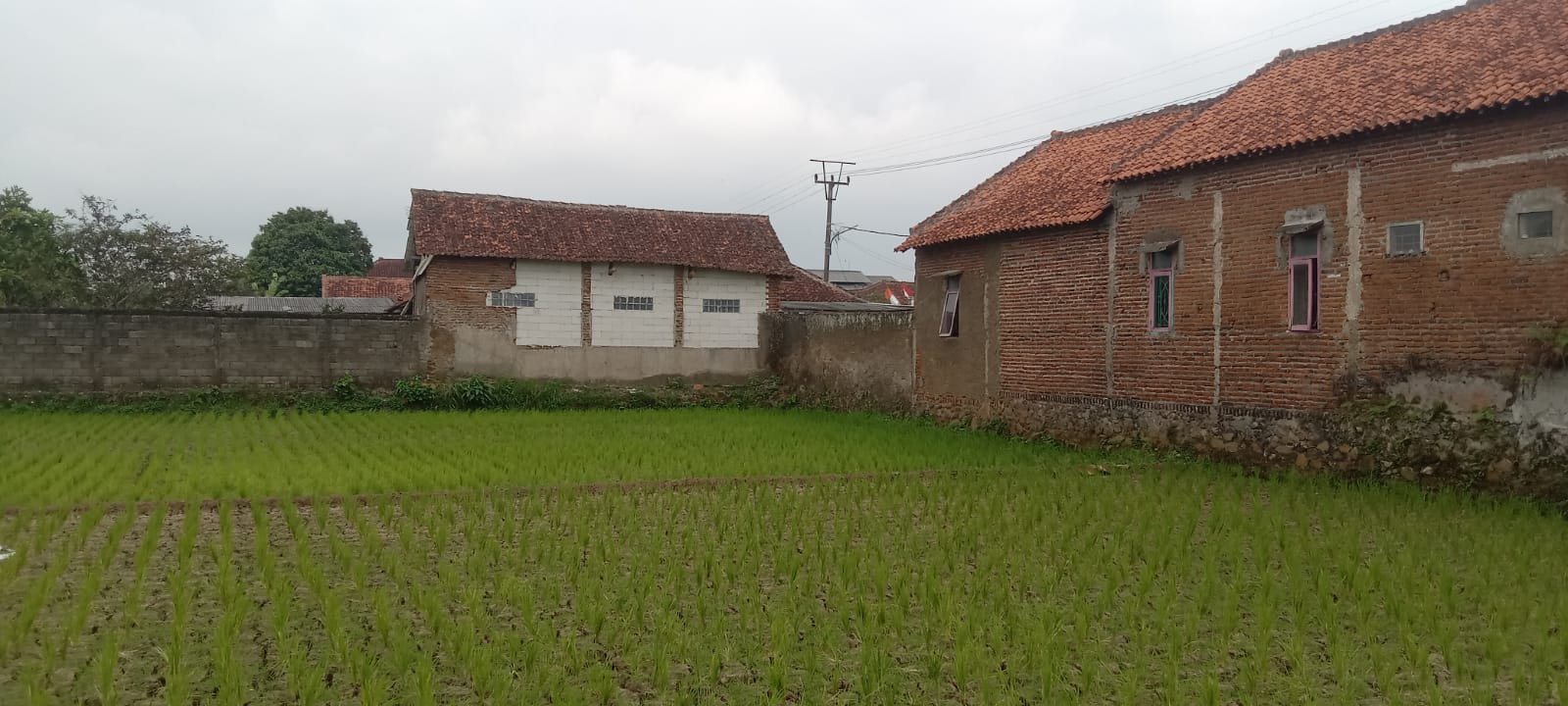 Dijual tanah disamping jalan - 2