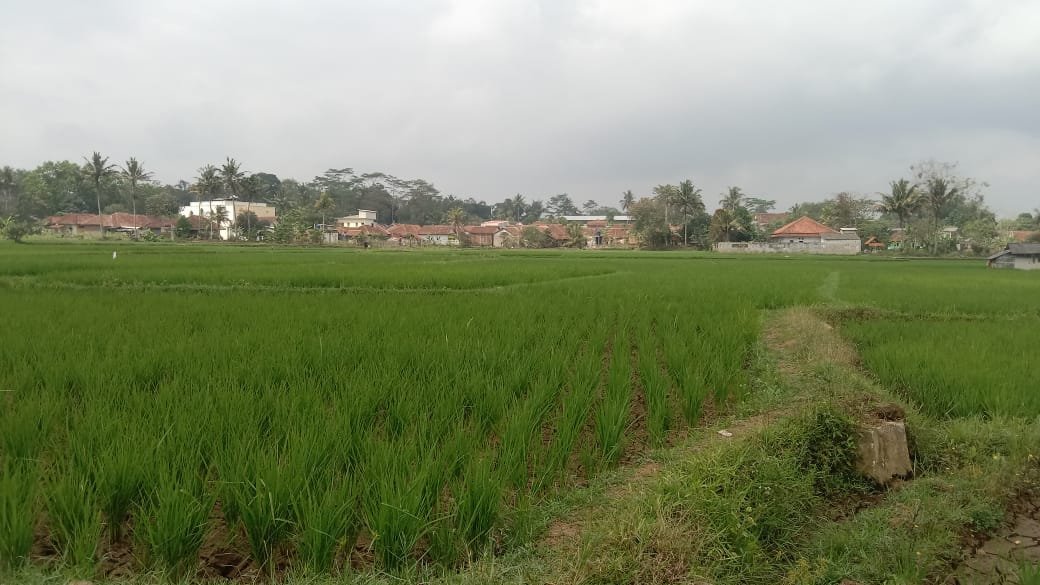Dijual tanah disamping jalan - 4