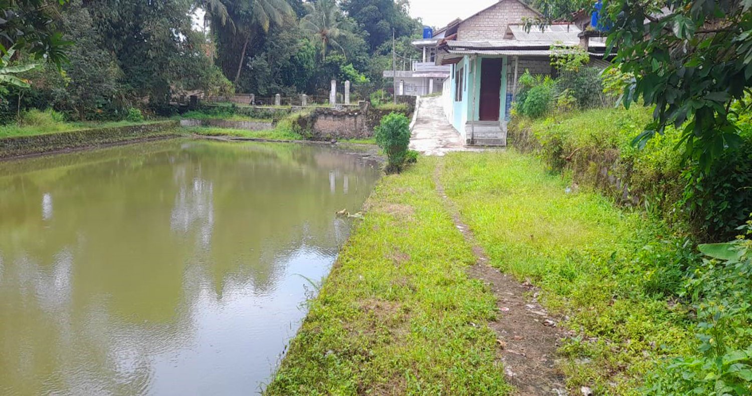 RUMAH DAN KOLAM PEMANCINGAN IKAN DI CIRANJANG - CIANJUR - 2